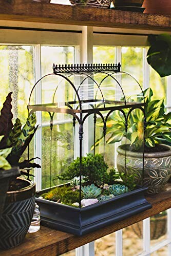 Decorative indoor terrarium with various plants on a shelf.